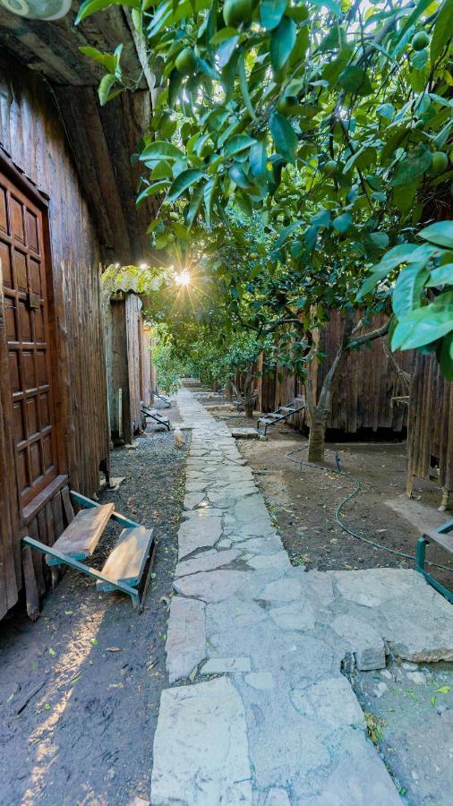 Bungalov - Bahçe Manzaralı