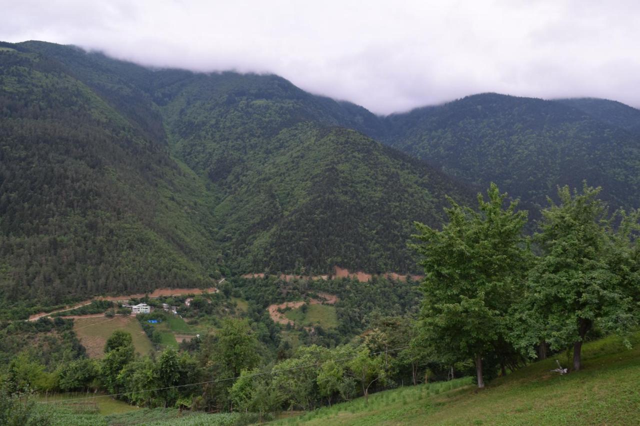 Aile Odası - Dağ Manzaralı