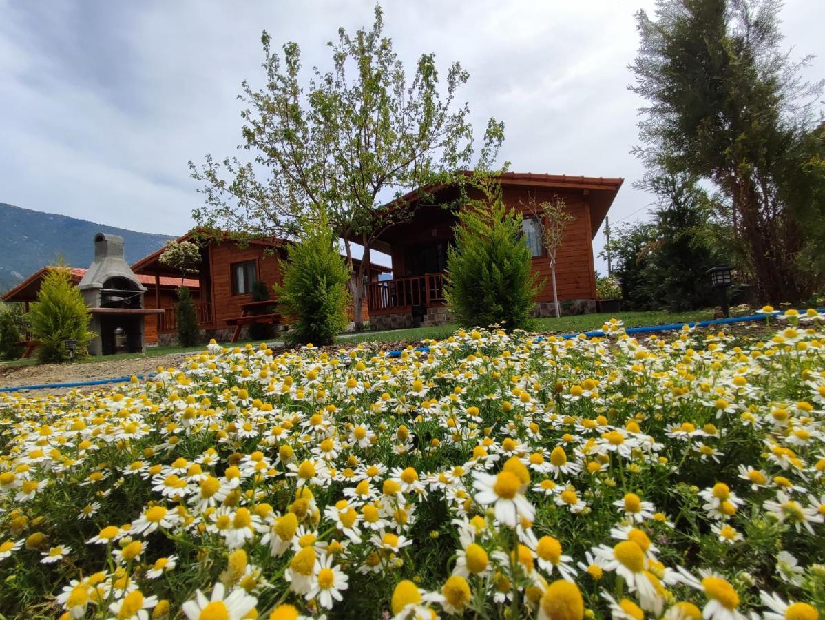 Bungalov - Bahçe Manzaralı