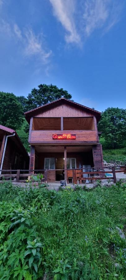 Tek Yatak Odalı Dağ Evi