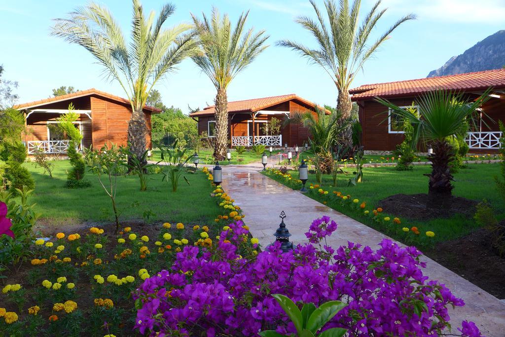 Delüks Bungalov