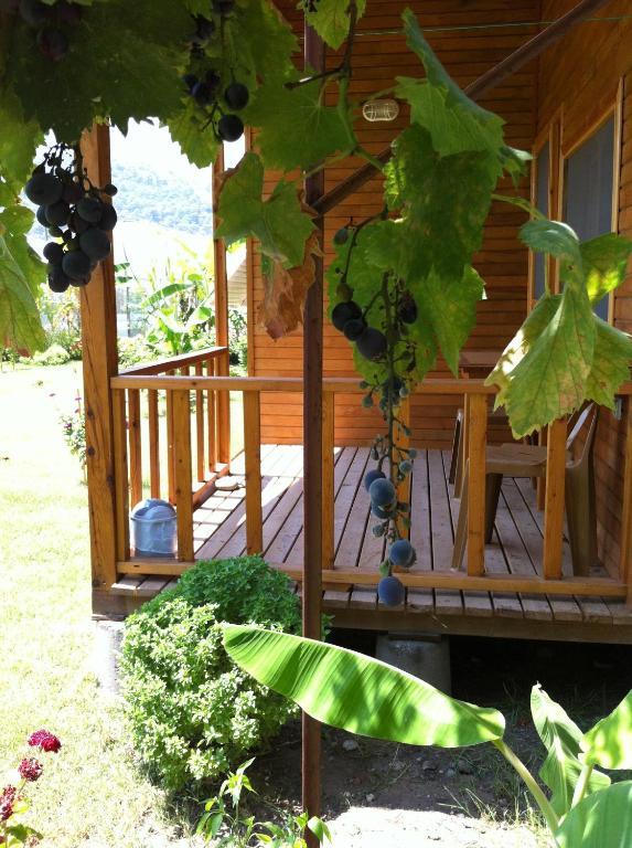 Aile Bungalovu