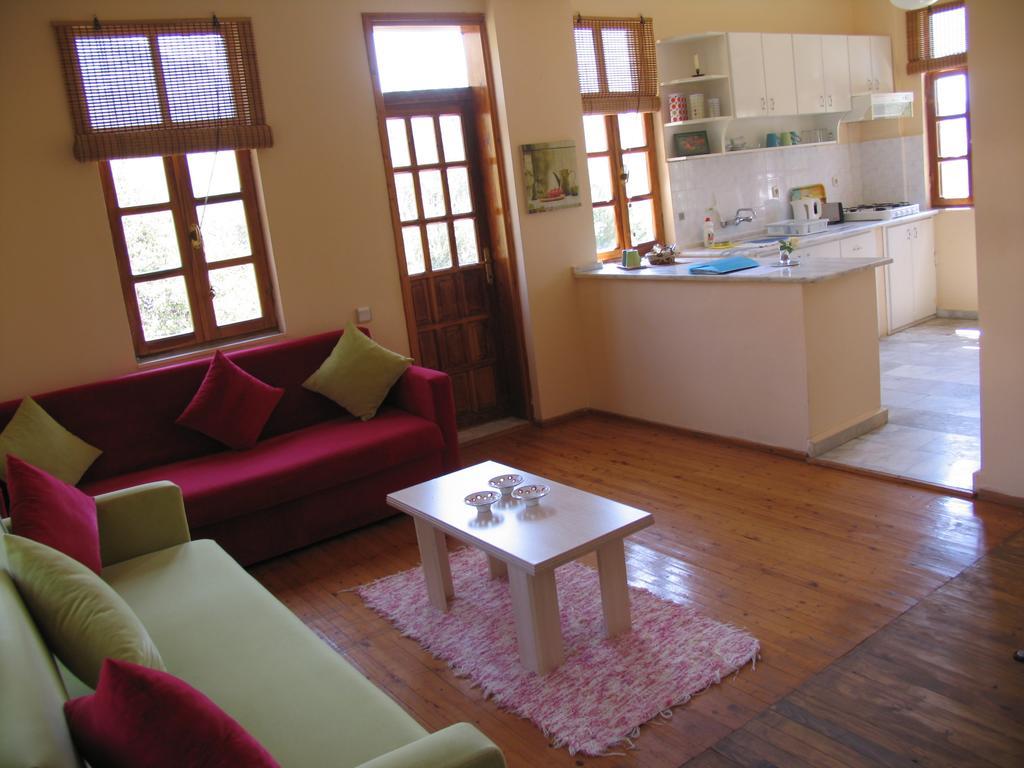 Apartment with Mountain View