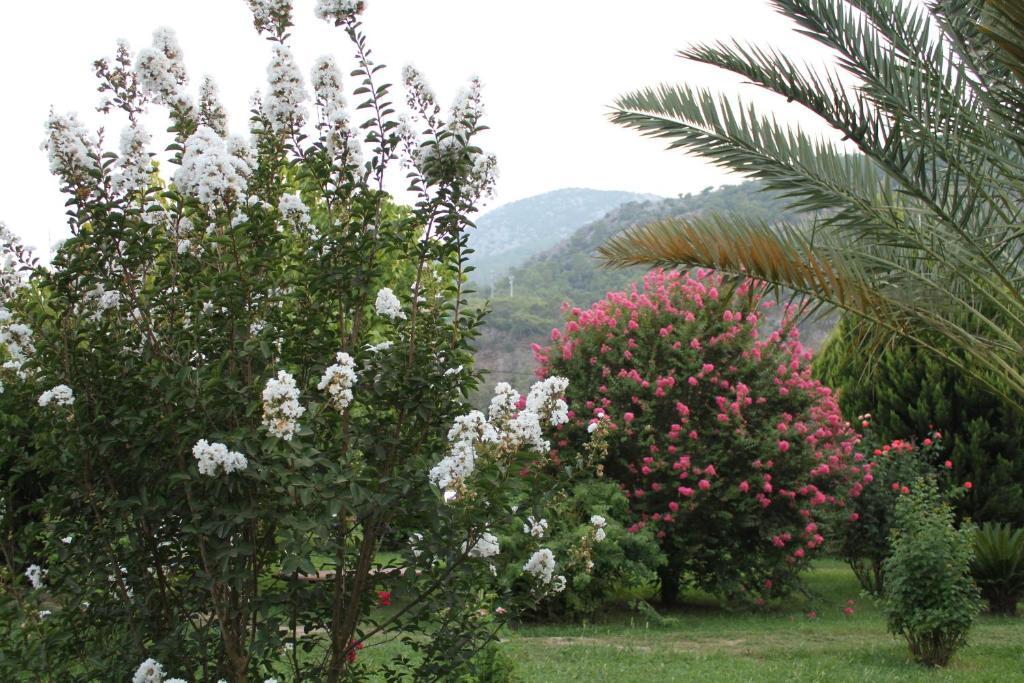 İki Yatak Odalı Bungalov