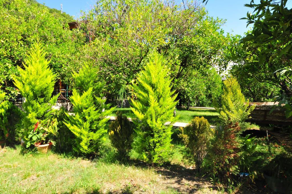Bungalov (2 Yetişkin + 1 Çocuk)