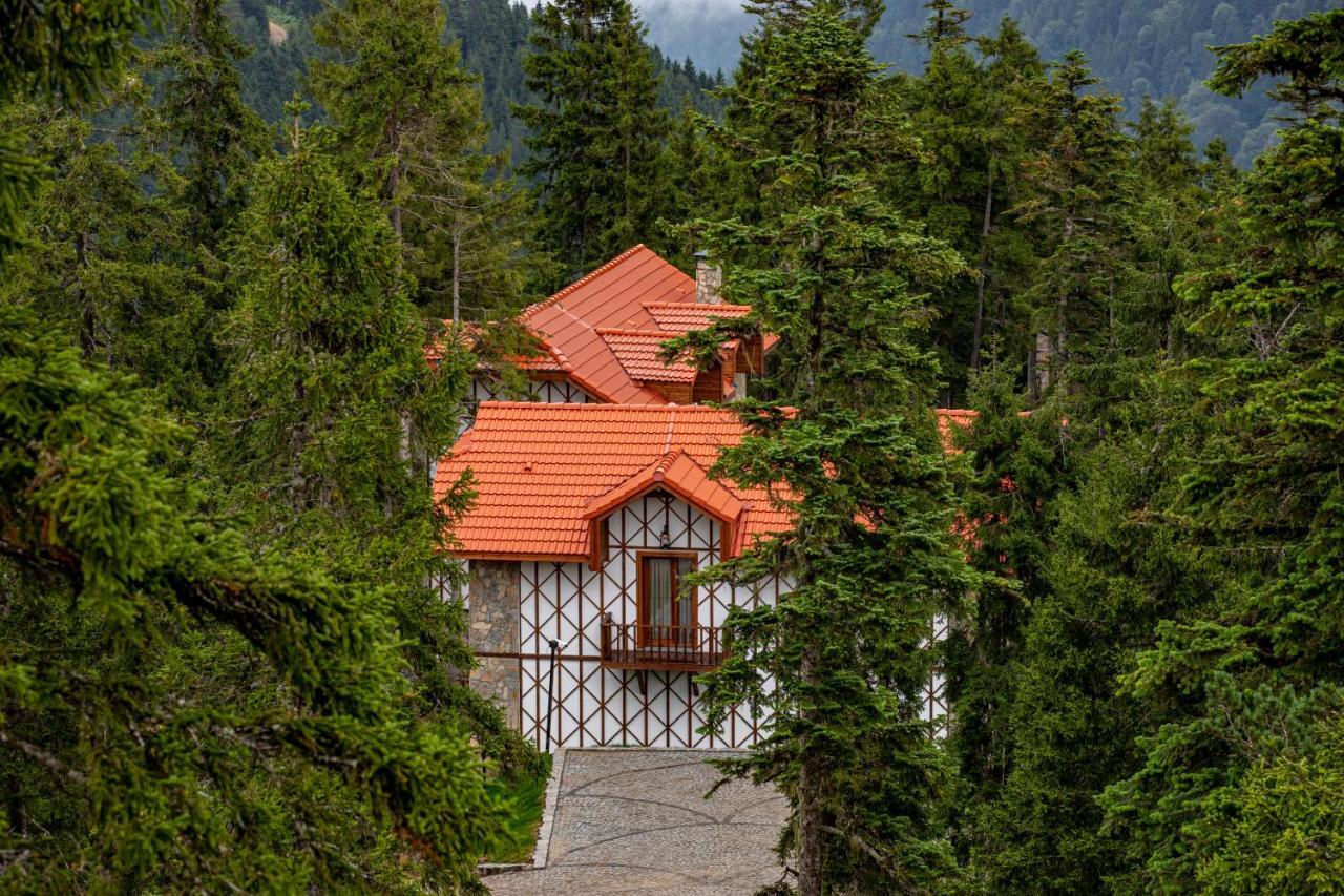 Villa mit Gartenblick