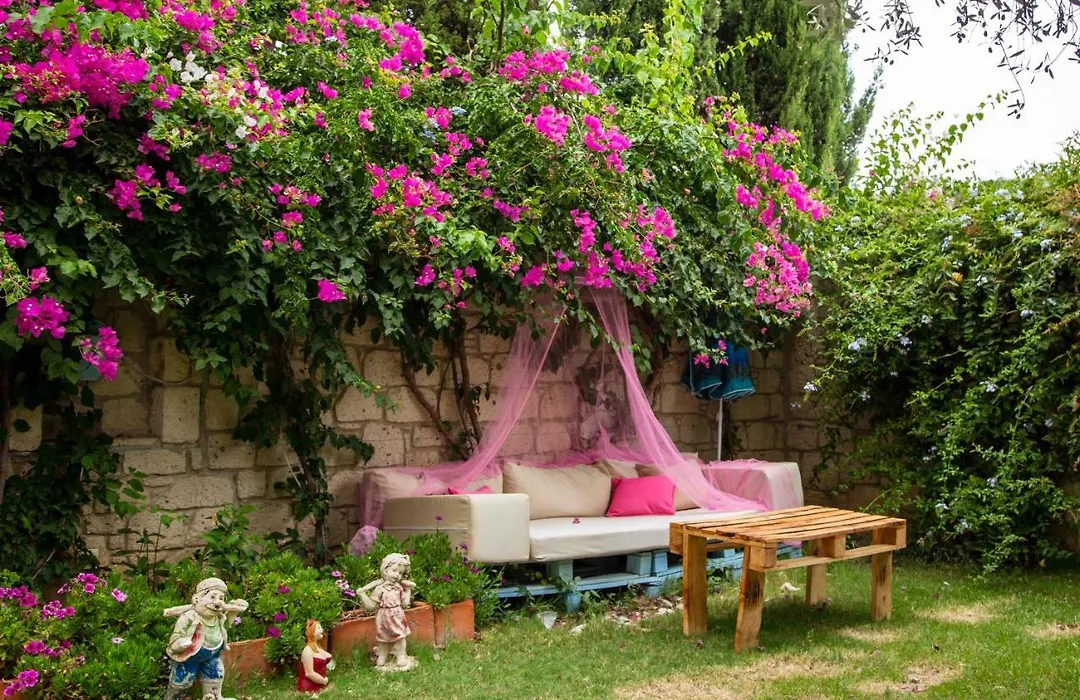 Asma Han Hotel-1