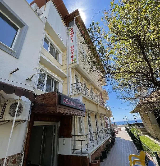 Asmali Hotel Altinoluk-1