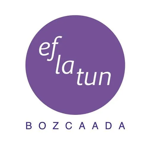 Eflatun Konuk Evi-1
