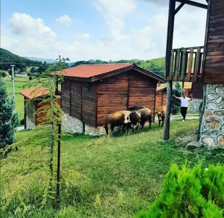 Sizmari Doga Evleri-1