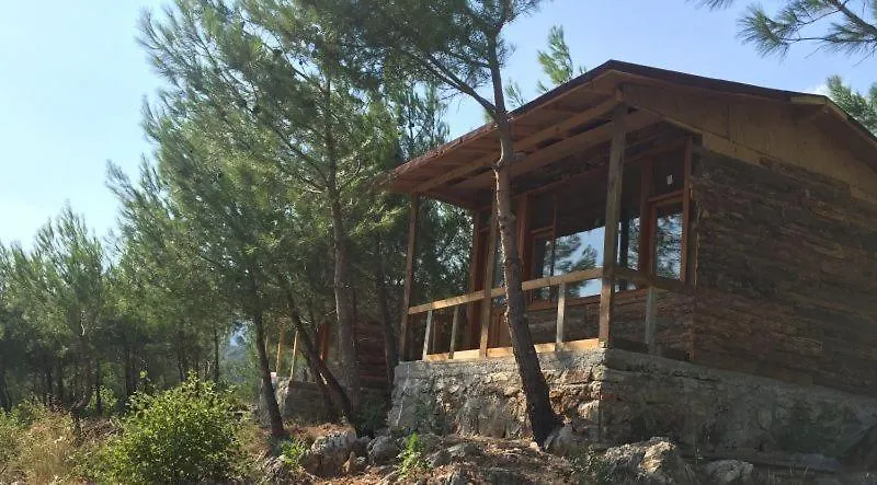 Ida Bay Bungalows-1