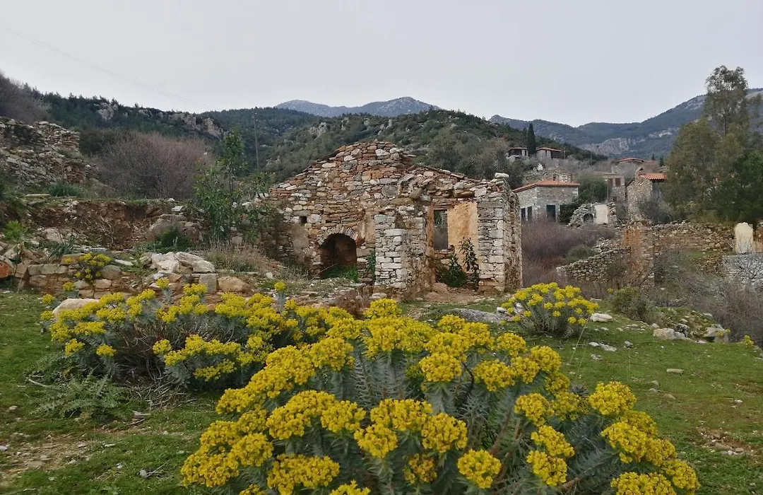 Pulinda Pansiyon-1