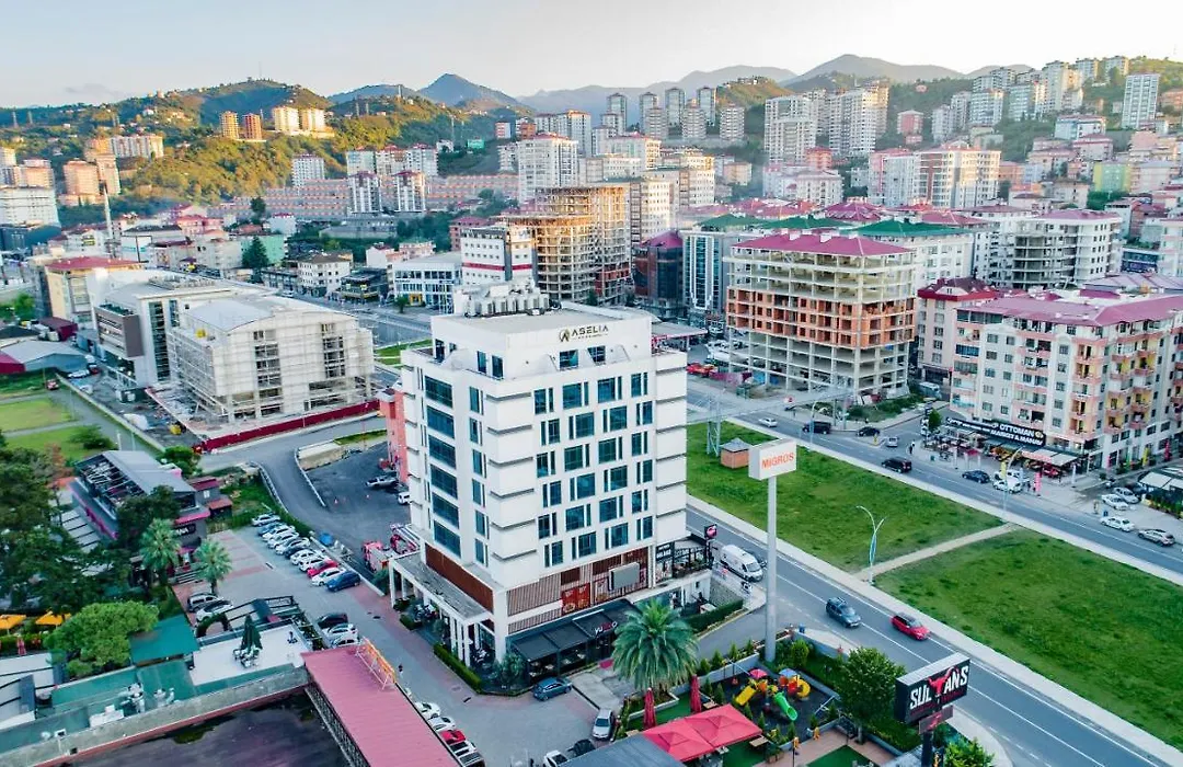 Aselia Hotel Trabzon-1