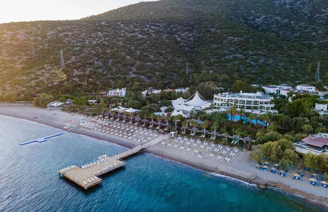 Latanya Park Resort-1