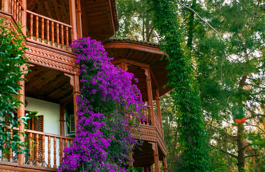 Club & Hotel Letoonia-1