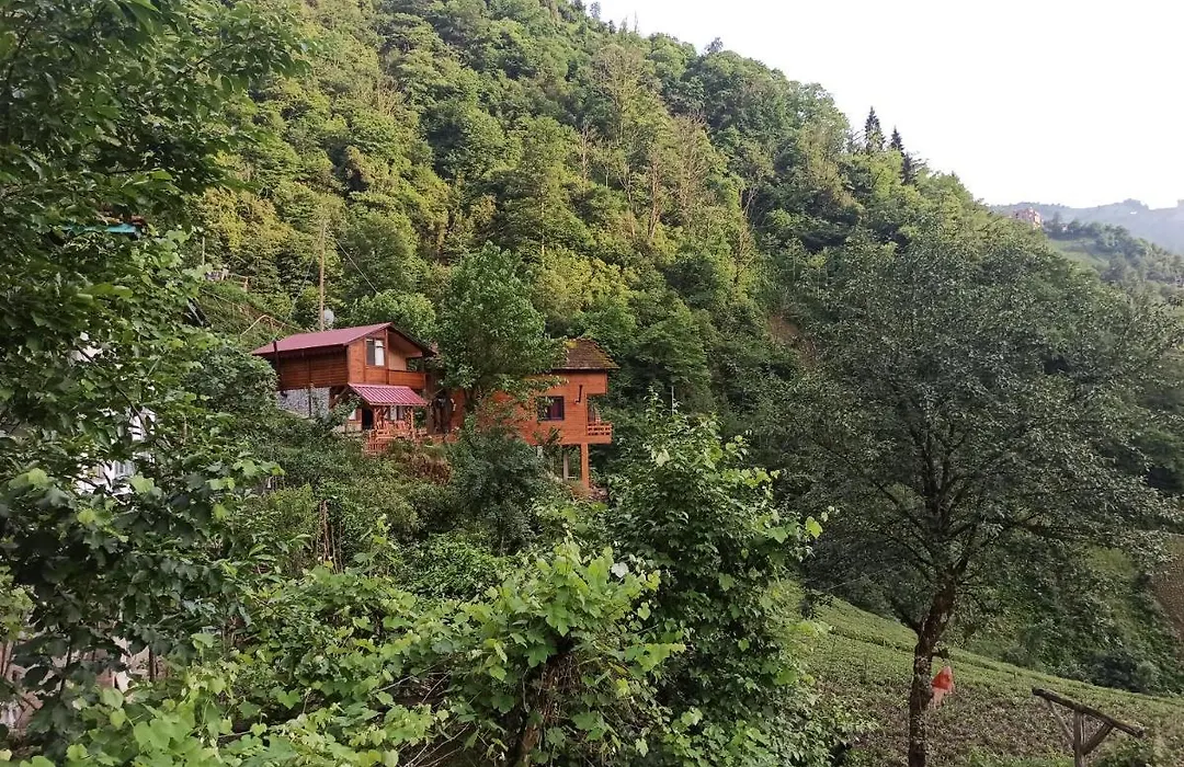 Avıtte Dağ Evlerı-1