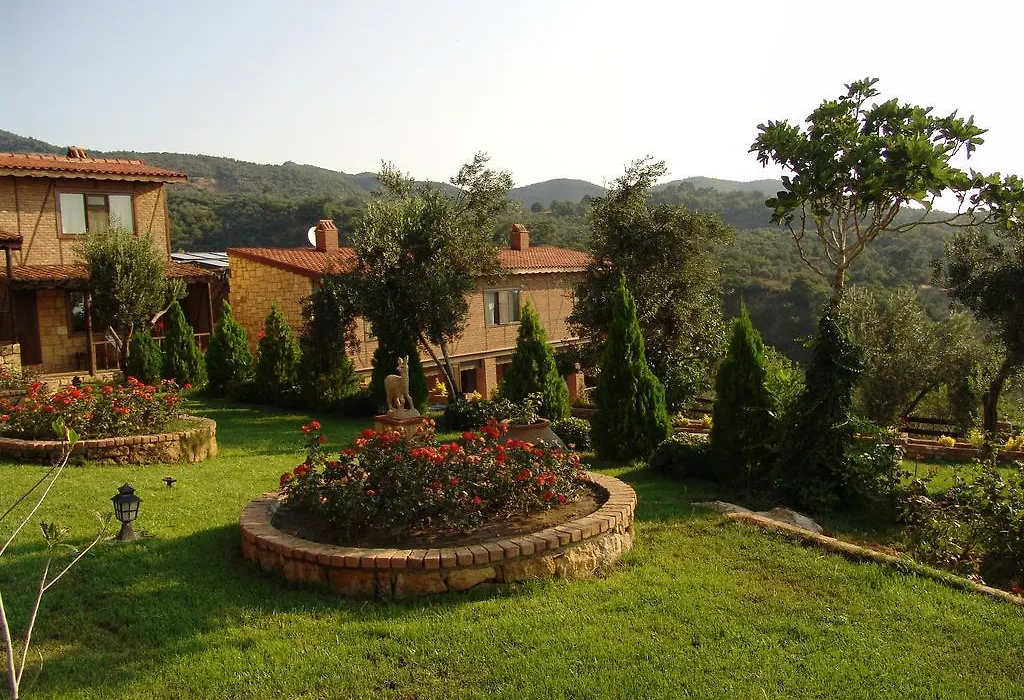 Pinecone Boutique Hotel-1