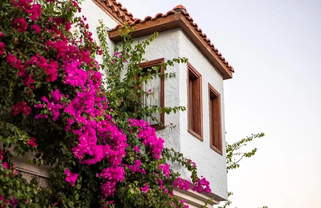 Jakamar Alacati-1