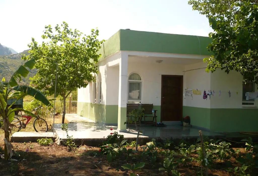 Kiyi Pansiyon-1