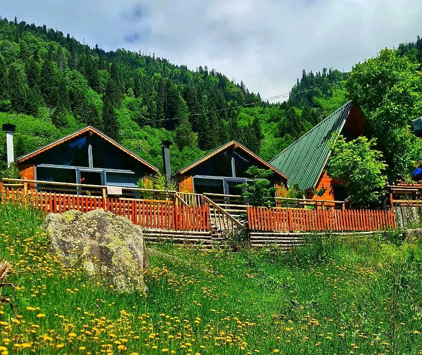 Yayla Bungalov-1