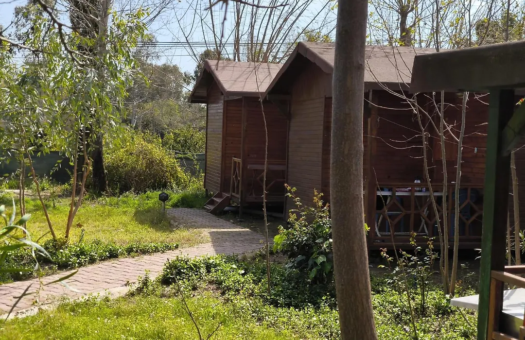 Çirali Natural Lıfe Bungalows Hotel-1