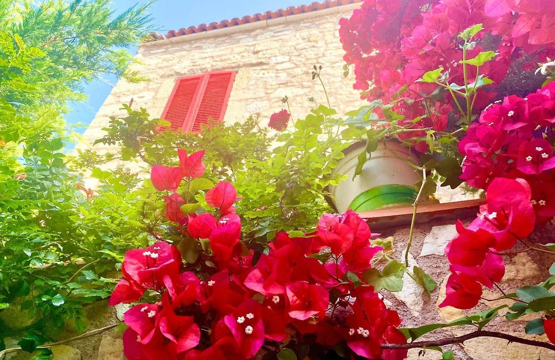 Marissa Boutique Cesme-1