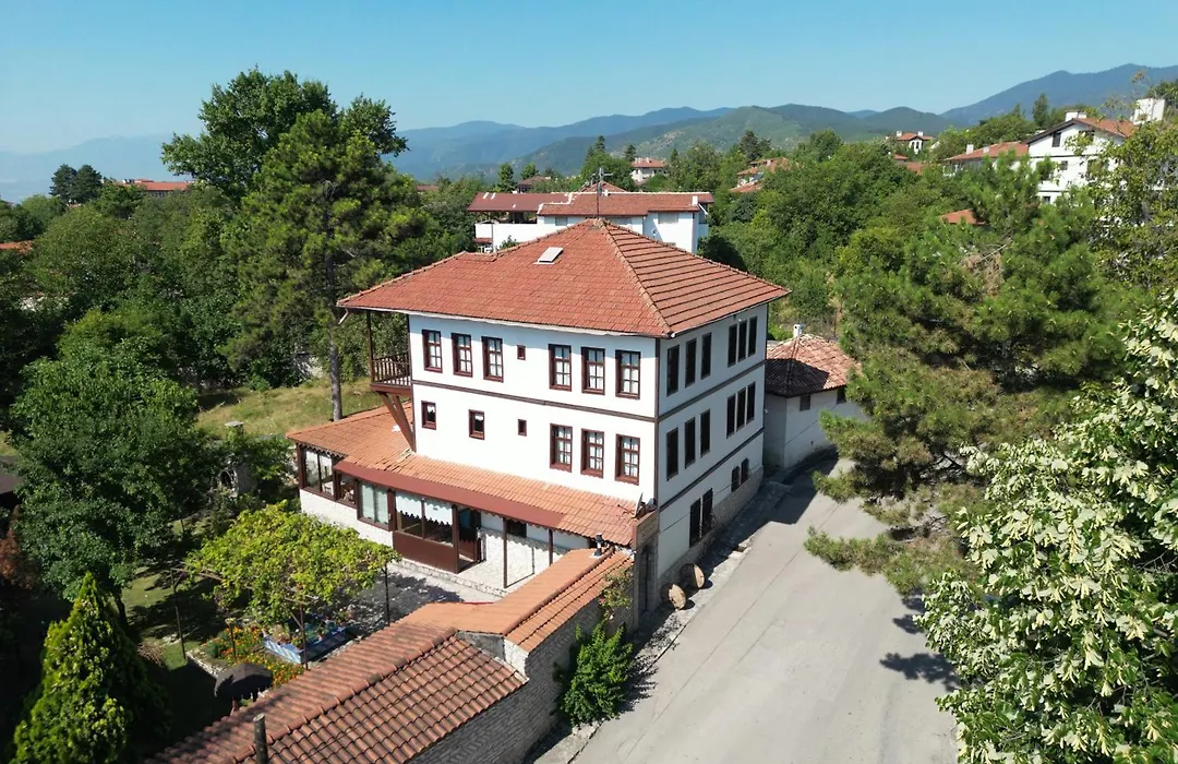 Dibekönü Konak-1