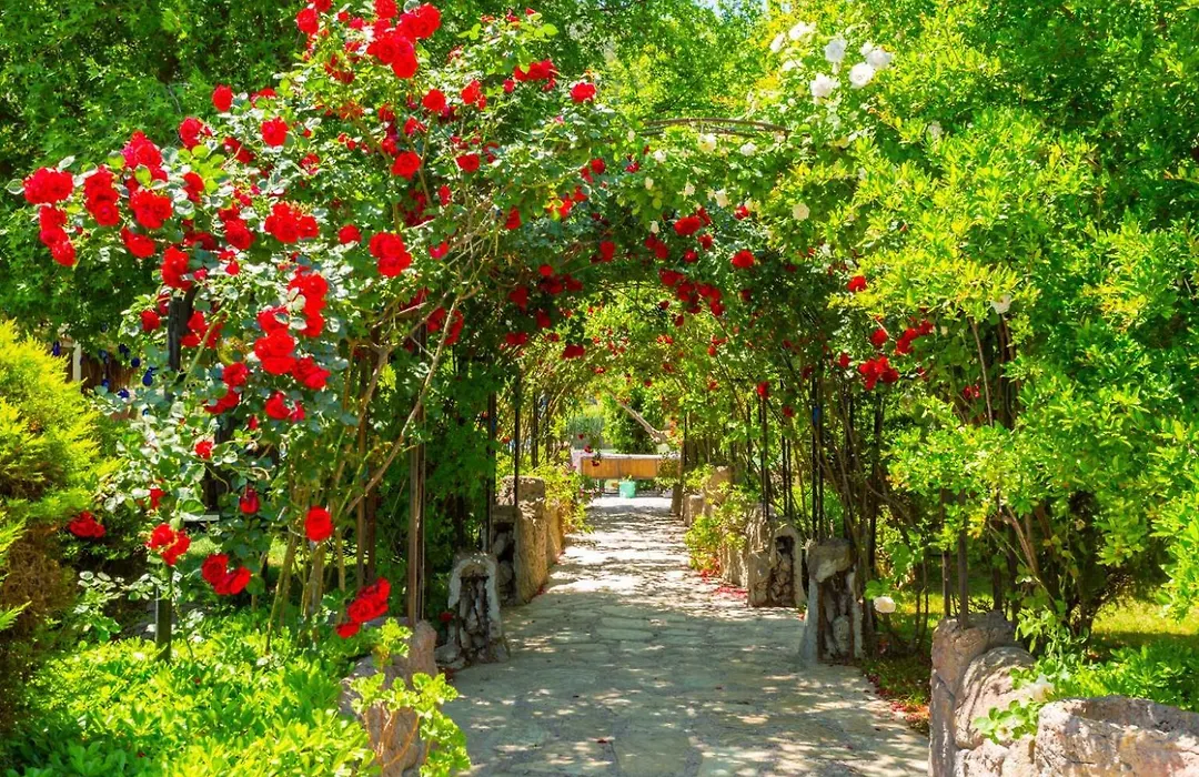 Villa Aysel Paradise-1