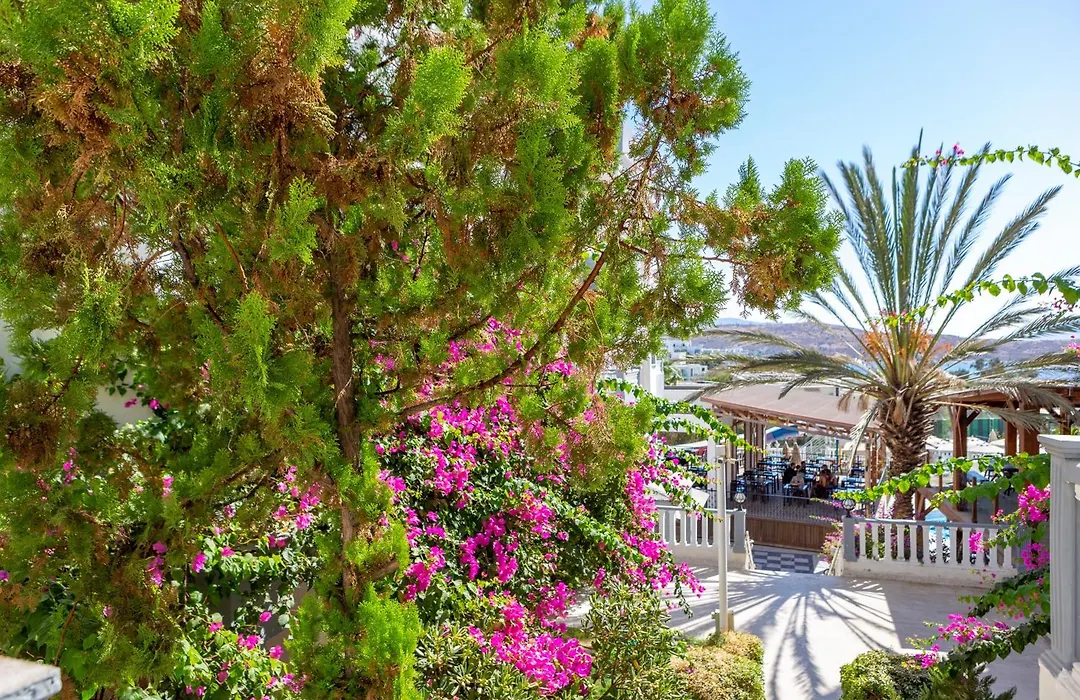 Smart Holiday Hotel Bodrum-1