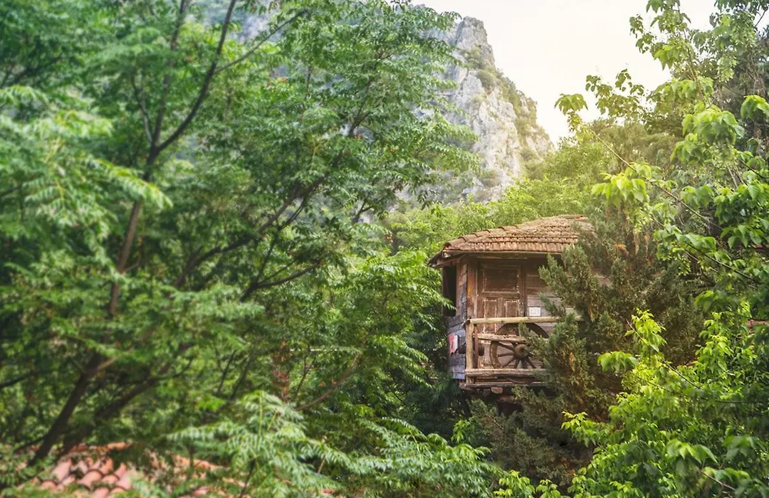 Kadir'S Top Tree Houses-1