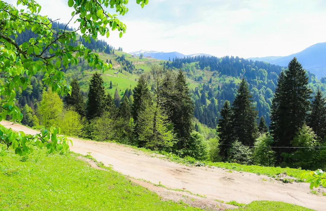 Mayben Otel UZUNGÖL-1