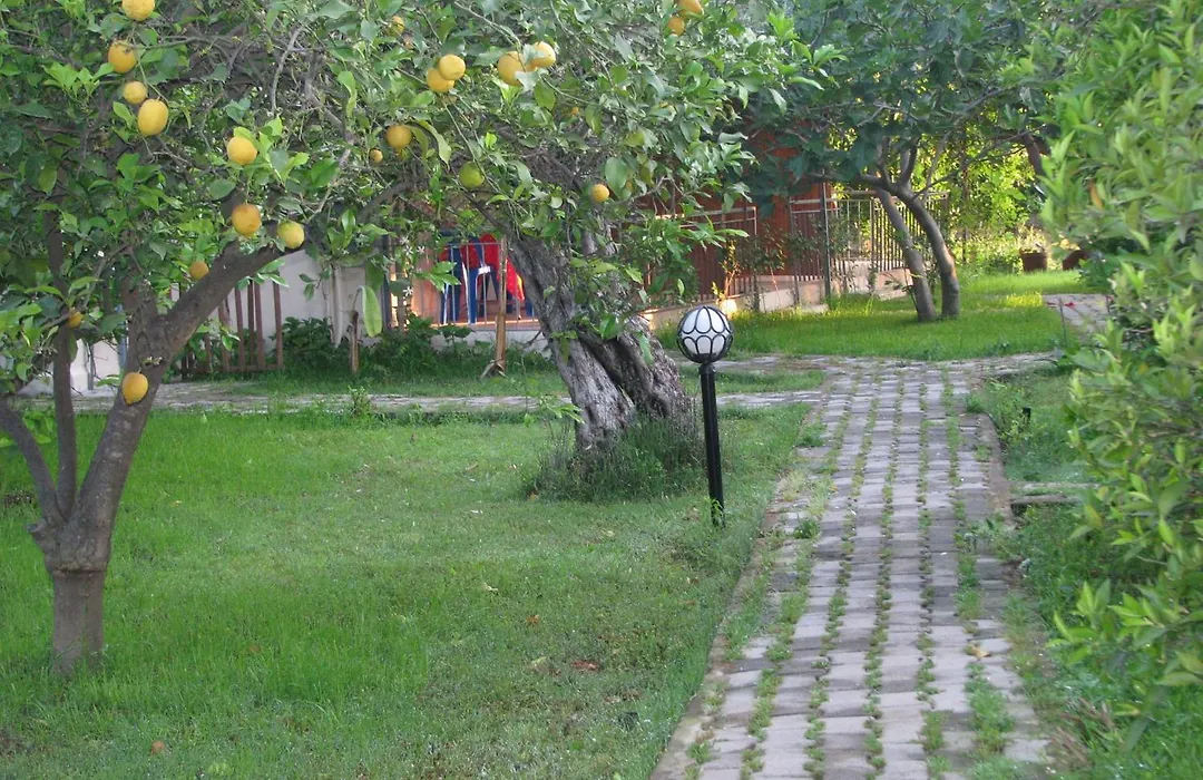 Yildiz Pension Bungalows-1