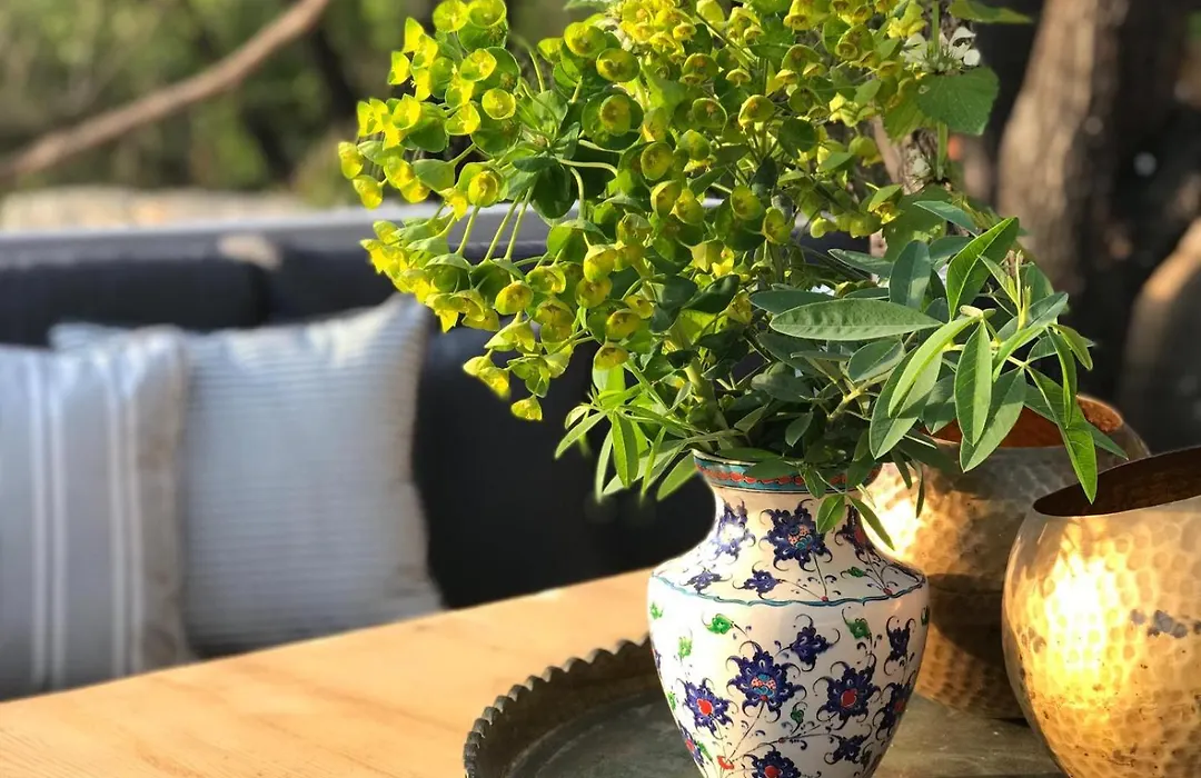 Kale Lodge - Adult Only + 15-1