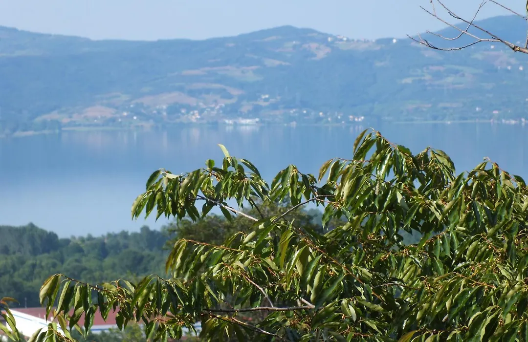 Sapanca Dilek Konagi Hotel-1