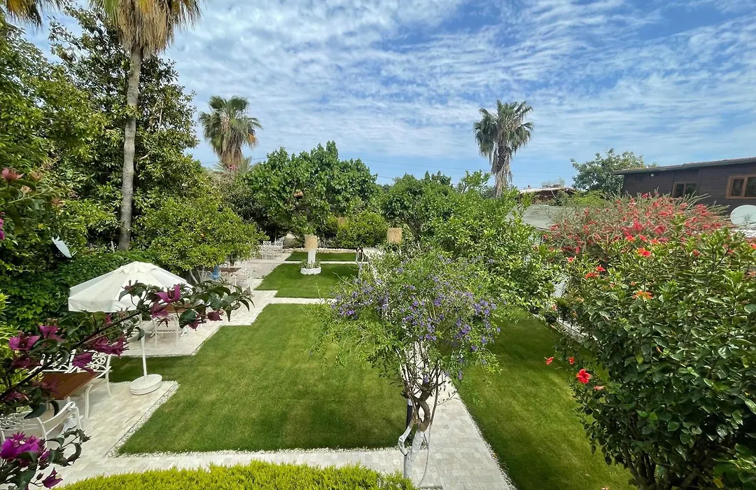 Alican Pension-1