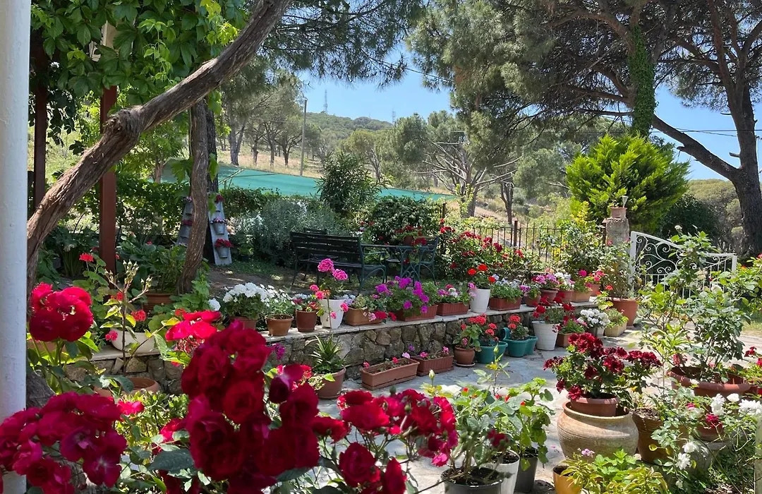 Gunebakan Taliani Hotel-1