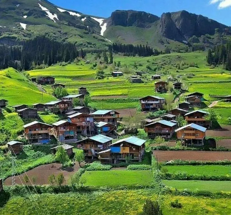 Hotel Green Valley Savsat-1