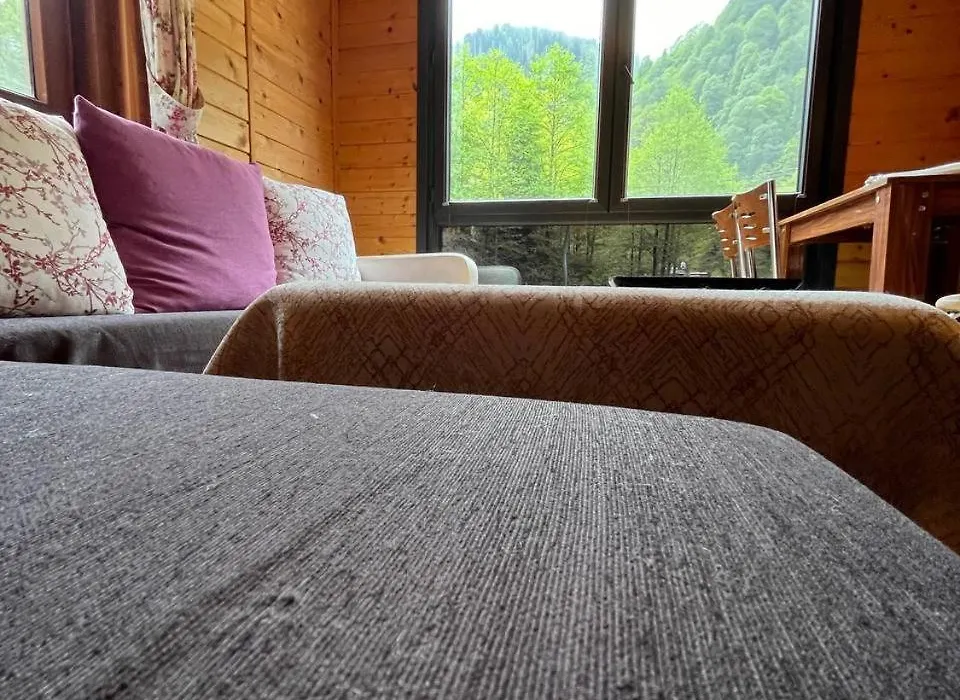 Ayder Paradise Otel-1