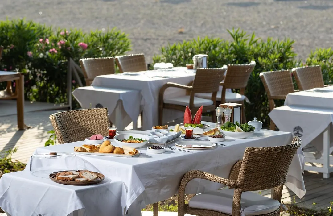 Etenna Beach Bungalows-1