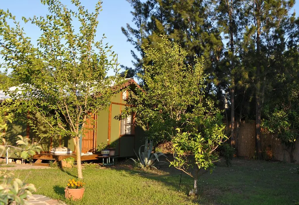 Hobbit Evi-1