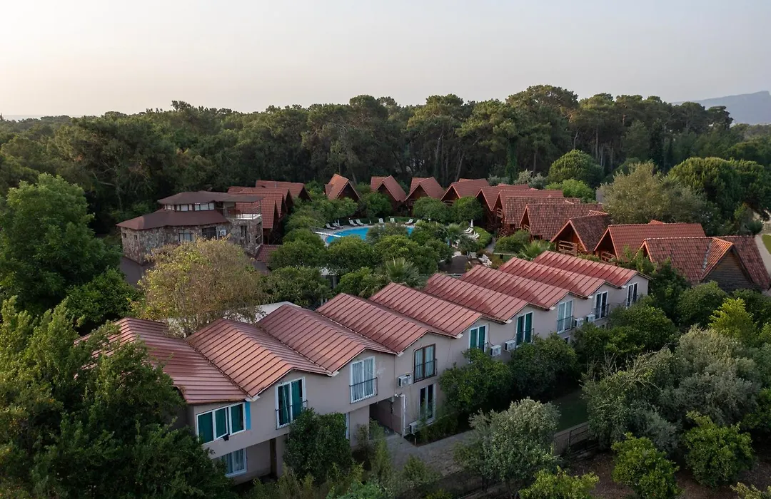 Woodline Hotel-1