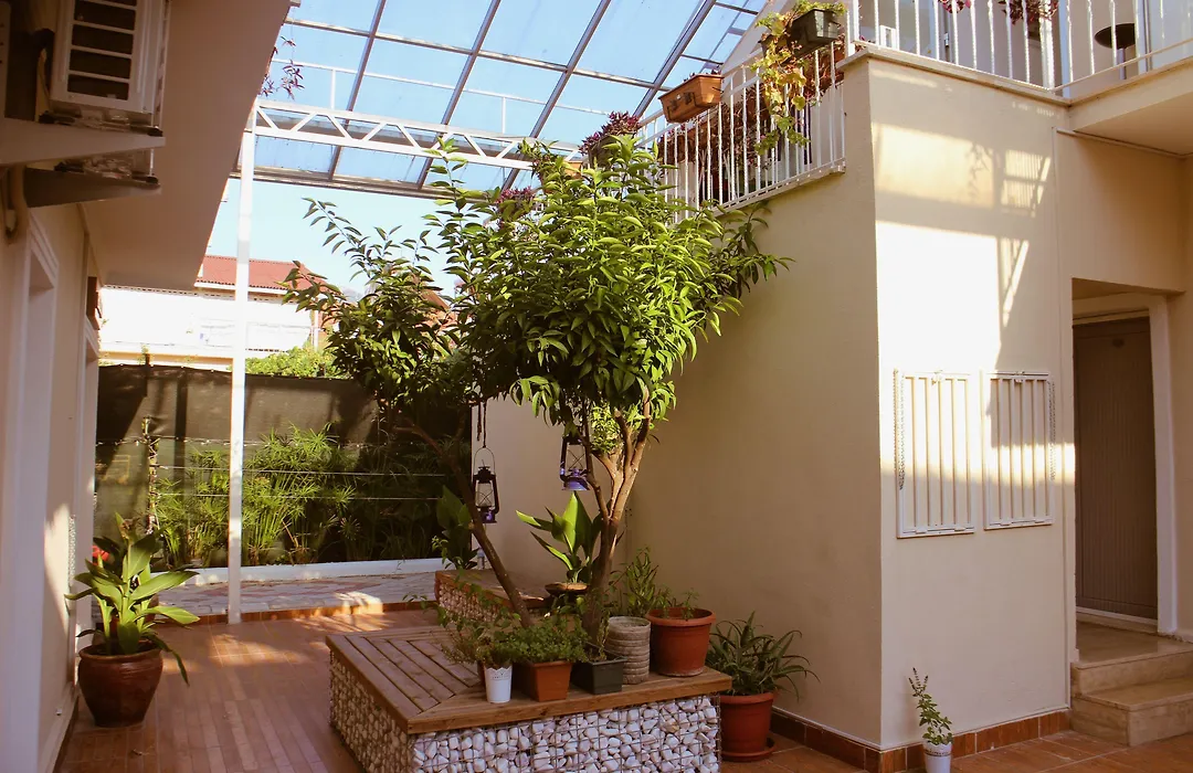 Arp Dalyan-1