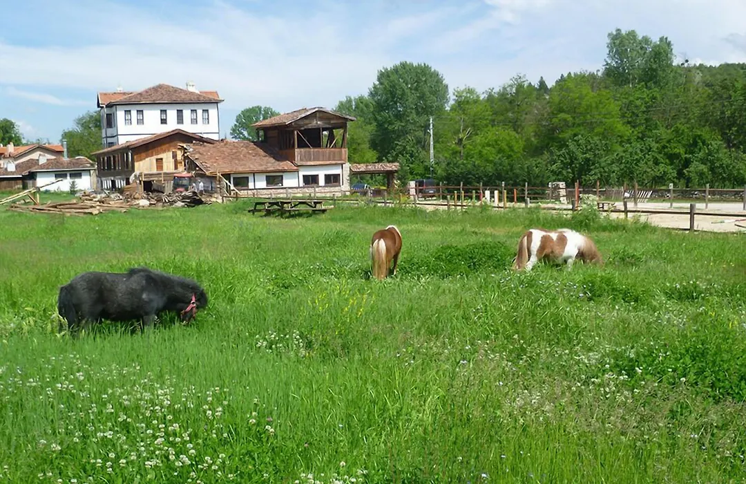 Hotel Sadibey Ciftligi-1