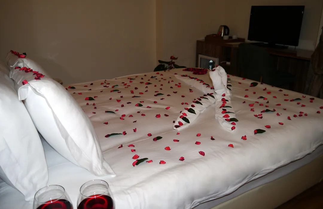 Tehran Boutique Hotel-1