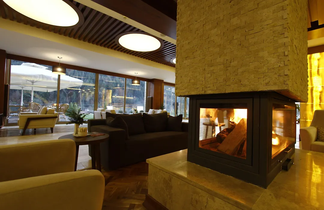Abant Aden Boutique Hotel & Spa-1