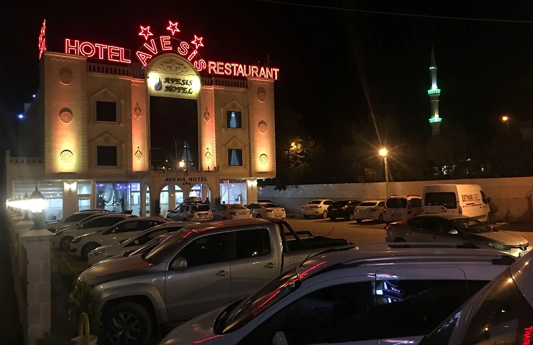 Avesis Hotel-1