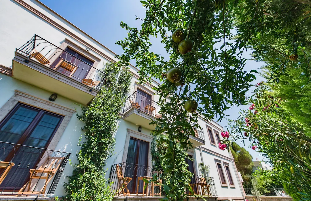 Elia Hotel Cunda By Ortunc-1