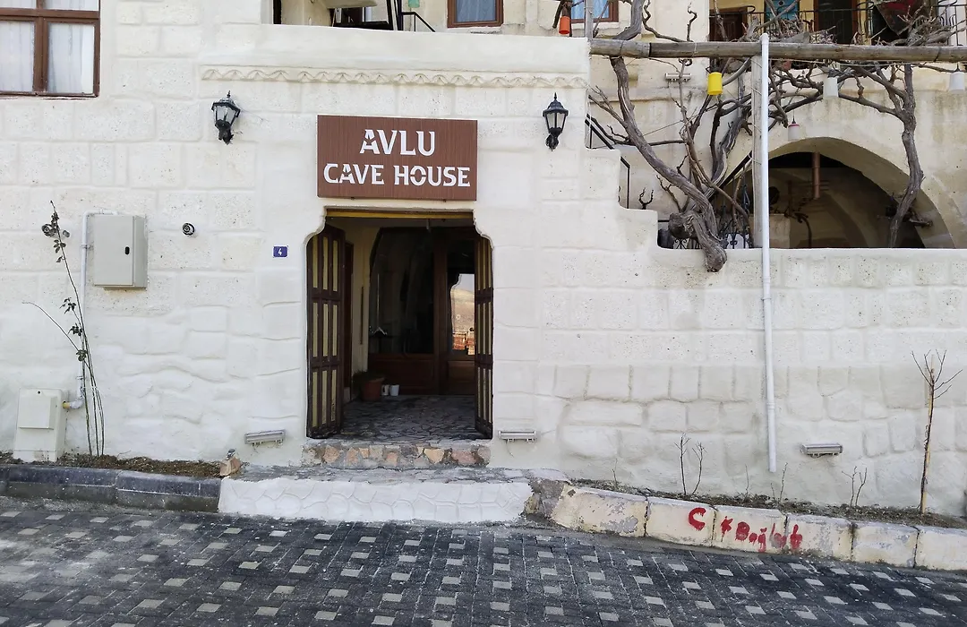 Avlu Cave House-1