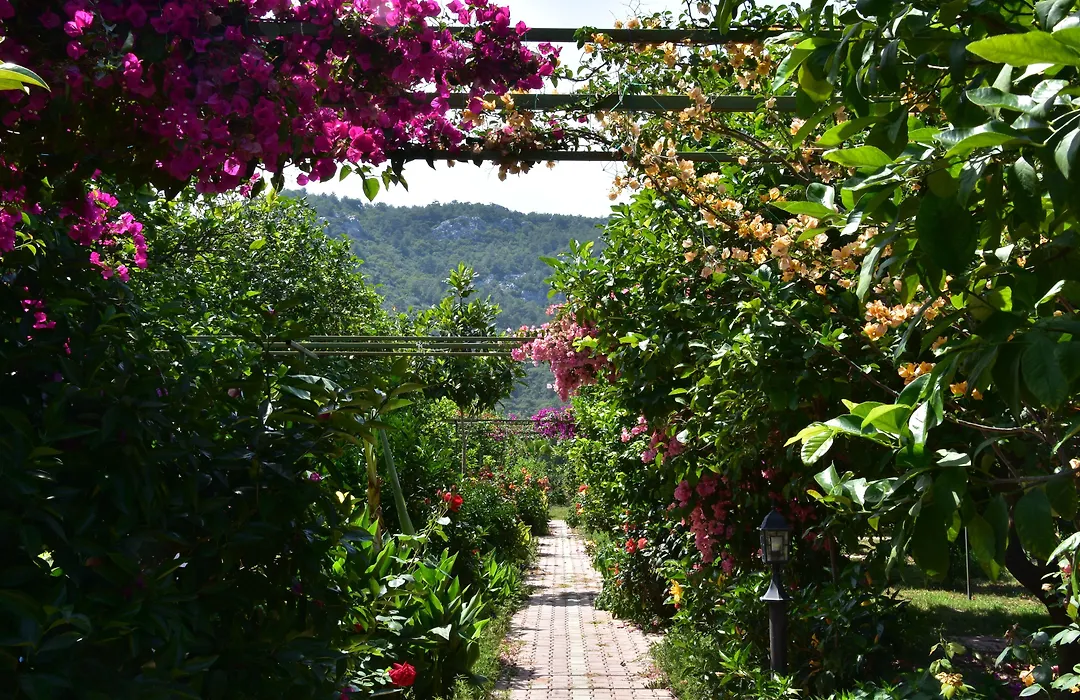 Lemon Garden Lodge-1