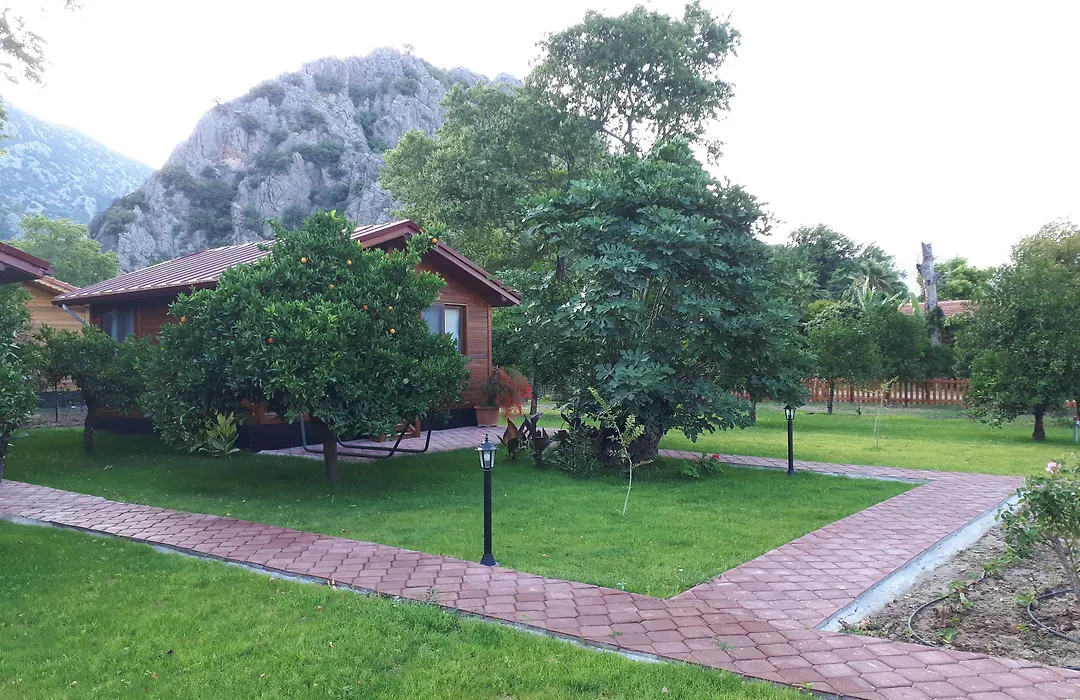 Asya Bungalow Çıralı-1